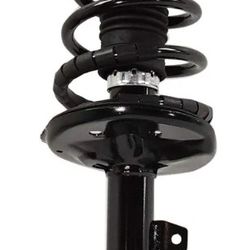 Fully Loaded Strut