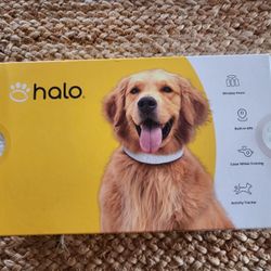 Halo Dog Collar