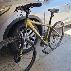 Mountain Bike