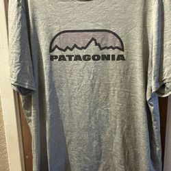 Patagonia graphic shirt