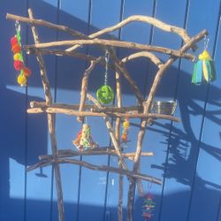 African Grey - Amazon Parrot Perch Tree - Custom Made , Breeder Direct Wholesale Prices ! 👍🏼