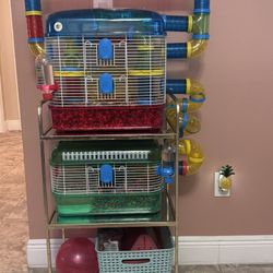 Hamster Habitat