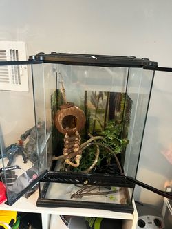 Reptile cage with accessories