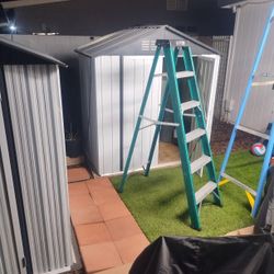 Franklin 6 Ft Ladder