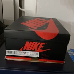Jordan 1 Bleached Coral 9.5