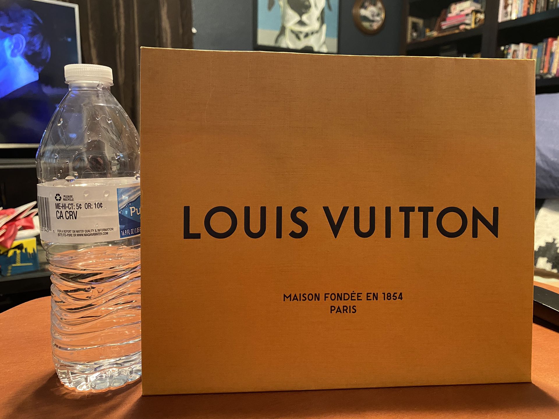 Louis Vuitton shopping bag $20