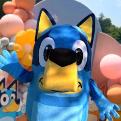 Party Characters BLUEY