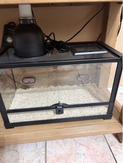 Reptile Enclosure