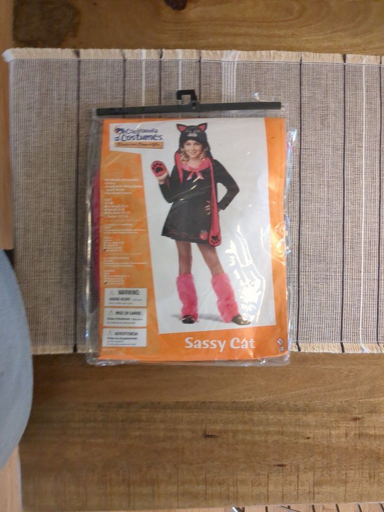 Sassy Cat children's Halloween costume.