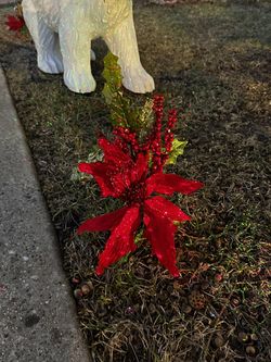 Flowers For Christmas Decorations