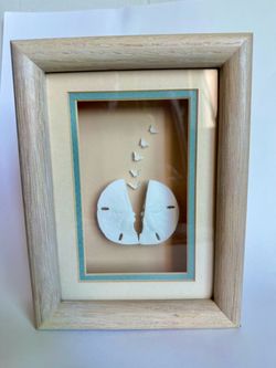 Beach Wall Frame with Real Sand Dollar and Butterfly Sea Shells - 6 X 8 inches