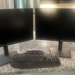 2  Dell brand new screens! 