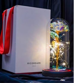 Ricordami Forever Exchanged Galaxy Rose With LED Lights And Glass Dome 