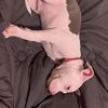 Gianna