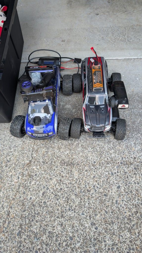 RC Red cat