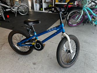 RoyalBaby Freestyle Kids Bike (Blue)