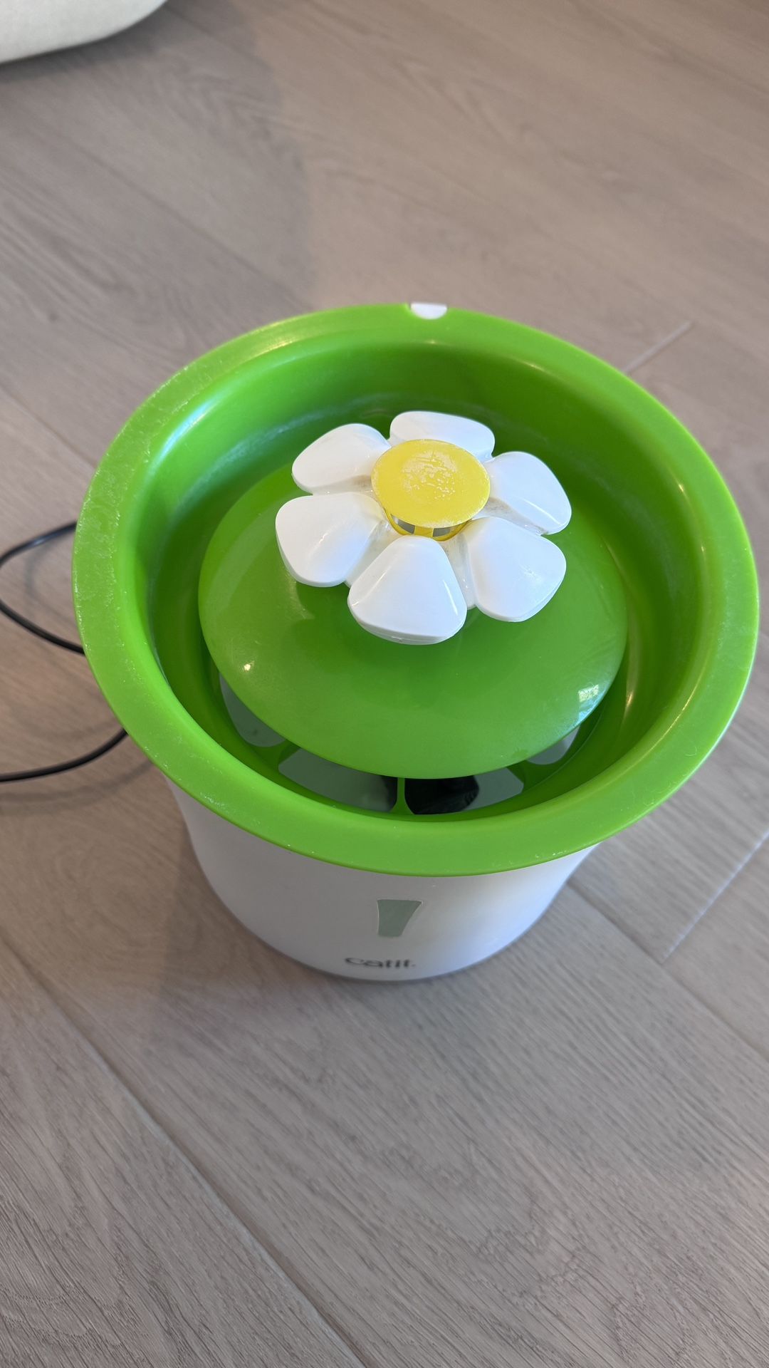 cat water bowl