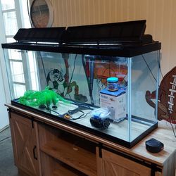 50 Gallon Fish tank with accessories 