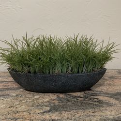 Pier 1 Imports Decorative Plant