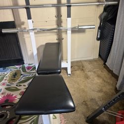 GOOD CONDITION Bench Press Multi-use , 300LB Set, Olympic bar + Z Curl bar 