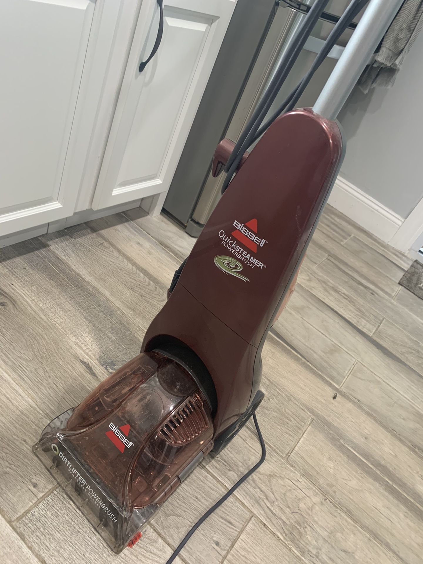 Bissell quick steamer