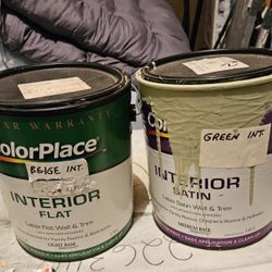 Free Paint