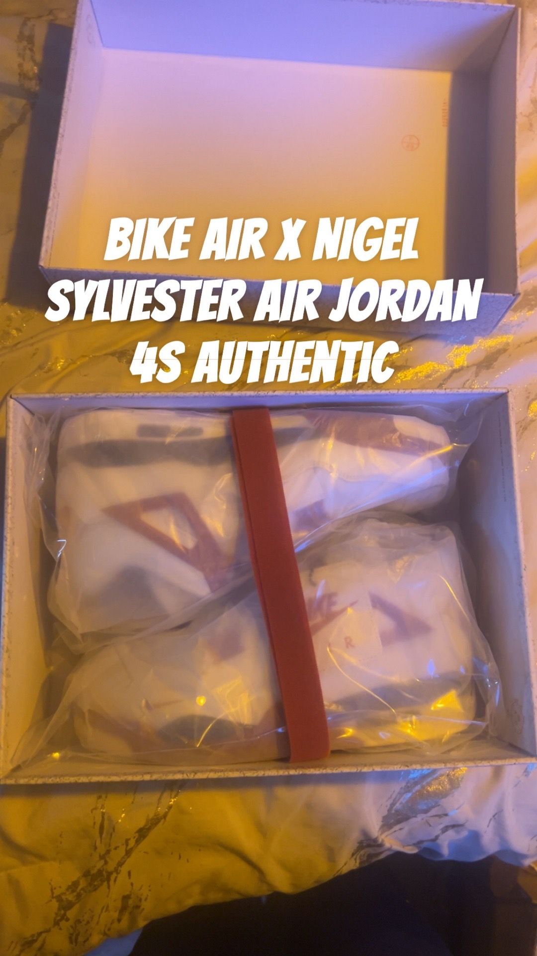 Jordan 4s Bike x Sylvester white
