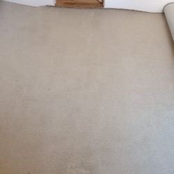 Nice Berber Carpet With Pad 12 X 10