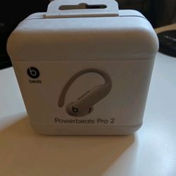 Sealed - Beats Powerbeats Pro 2 True Wireless Earbuds - Quick Sand - NEW