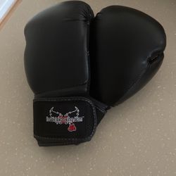 Female Kickboxing Gloves