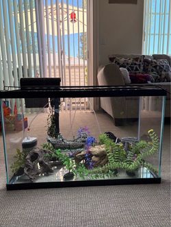 Fish  tank  full  set  up  with  accessories, 30 gallons