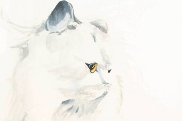 Vintage Cat Portrait Painting on paper 80s 