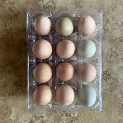 Fresh Eggs From Happy Free Range Chickens