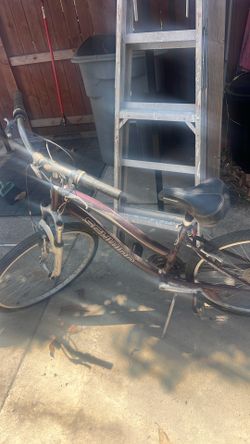 Women's bike