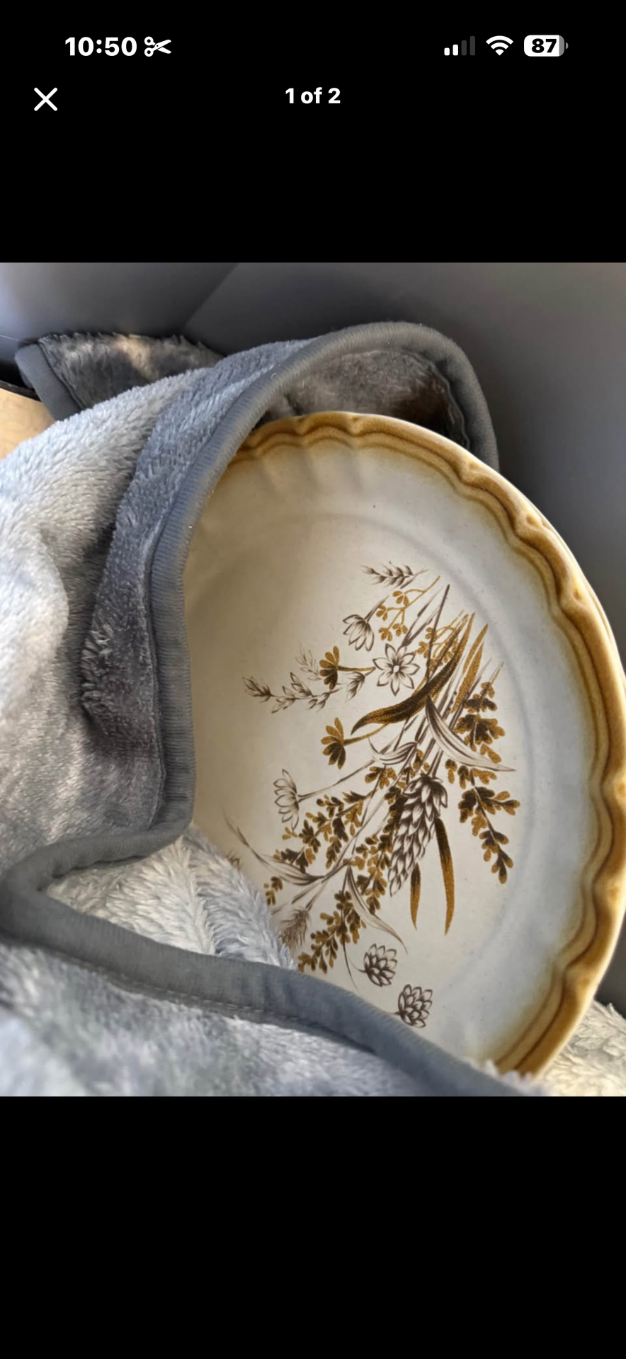 Bundle of plates