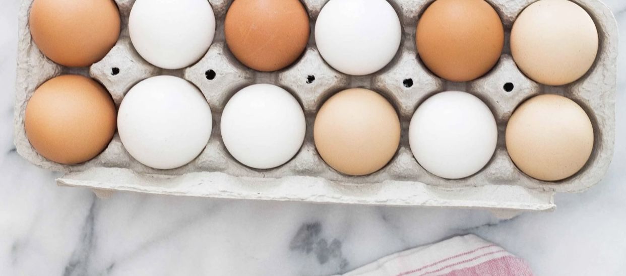 Fresh Eggs