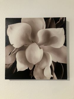 Canvas Painting