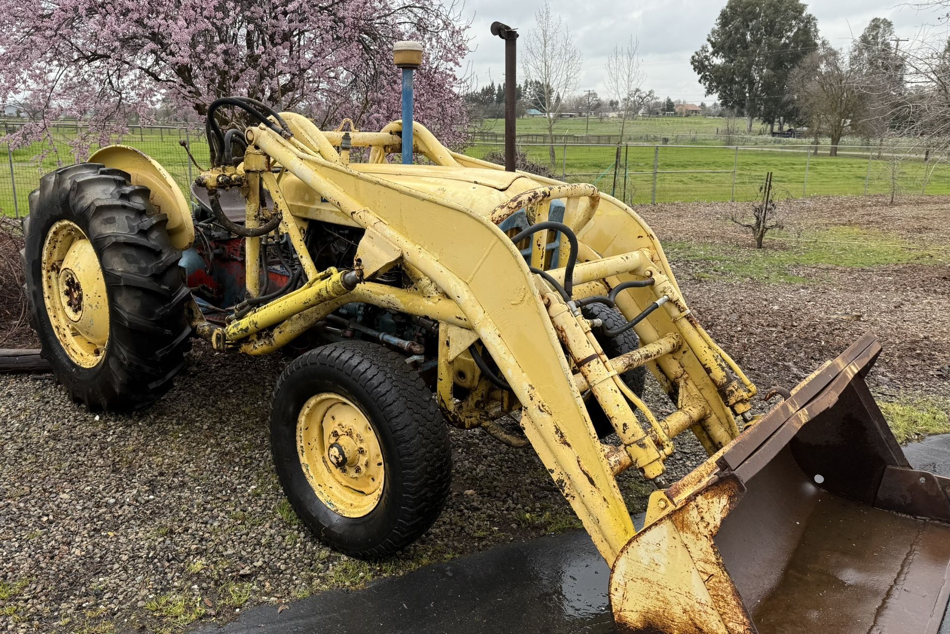 Ford Industrial 4000 Diesel Tractor with Accessories