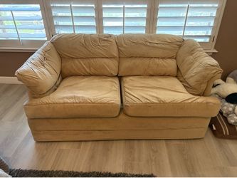 Love seat sofa $40 N. Phx.