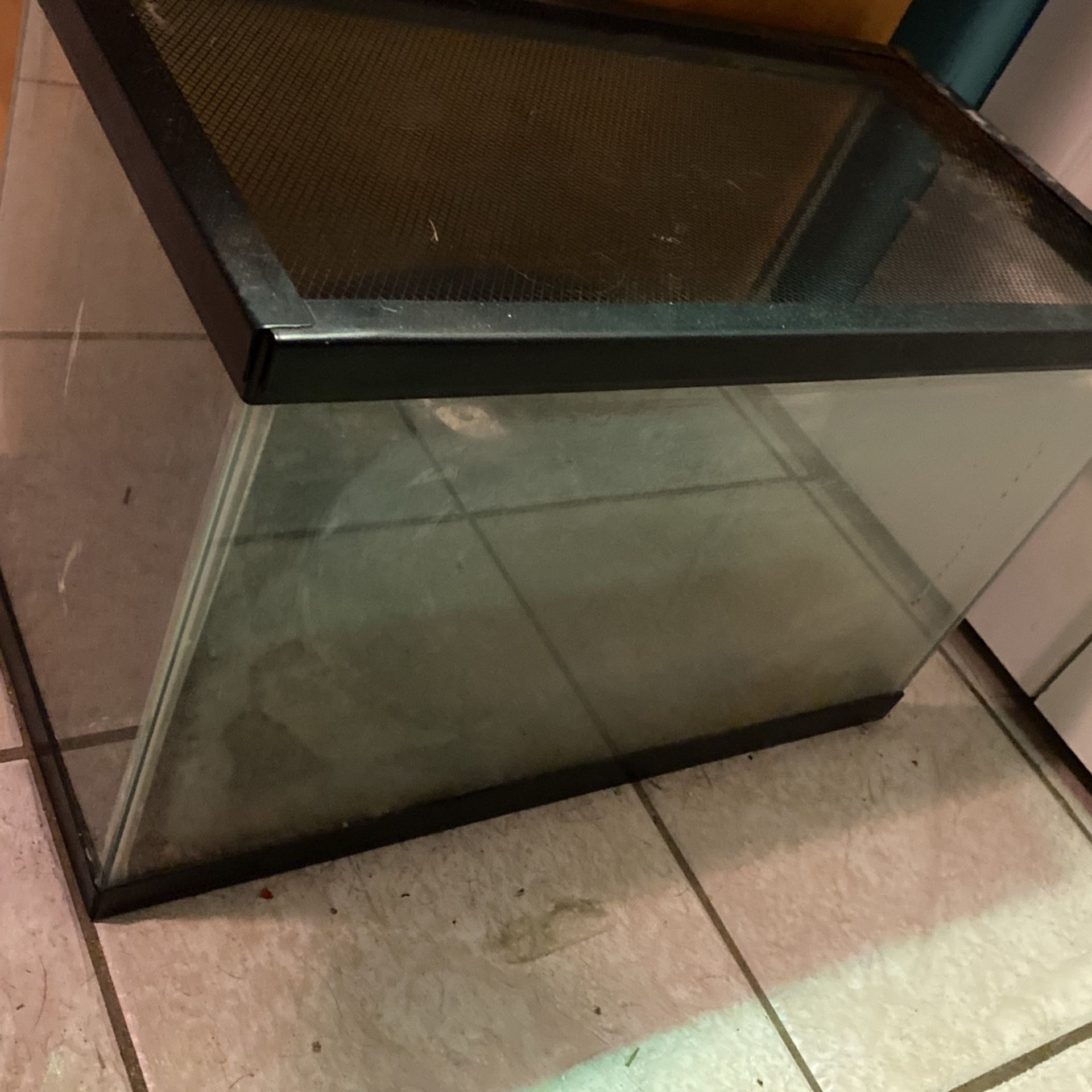 10 Gallon Tank