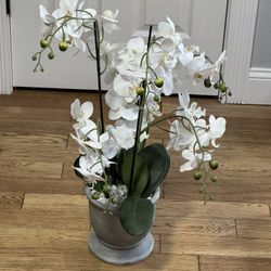 Huge Artificial Orchid I’m Heavy Cement Pot