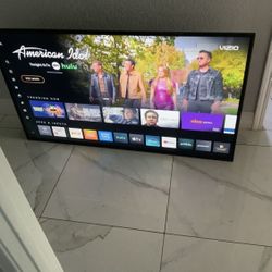 Great Working Vision 55” In TV ! Comes With Remote & Wall Mount