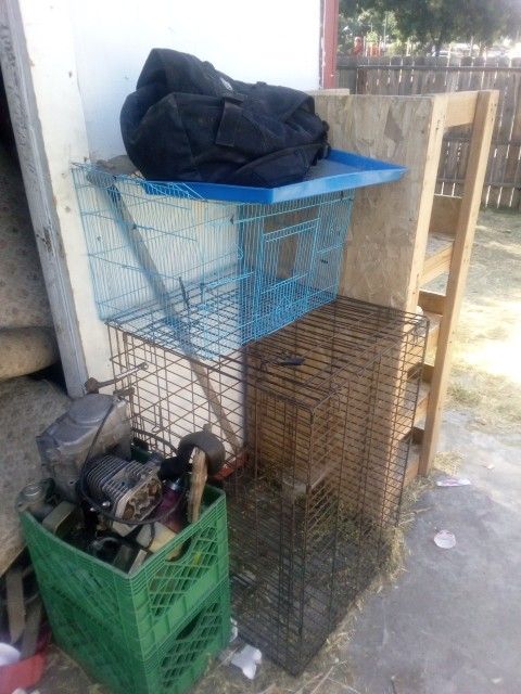 Bird Cages Or They Could Be For A Rabbit