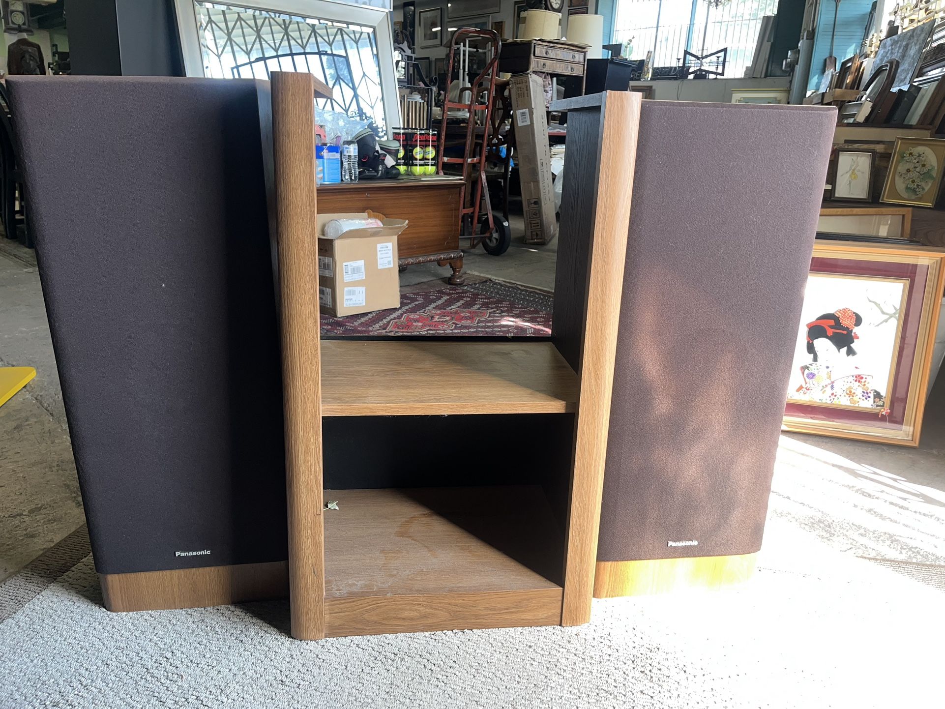 Panasonic Speakers SB-ZR620 & Audio Rack