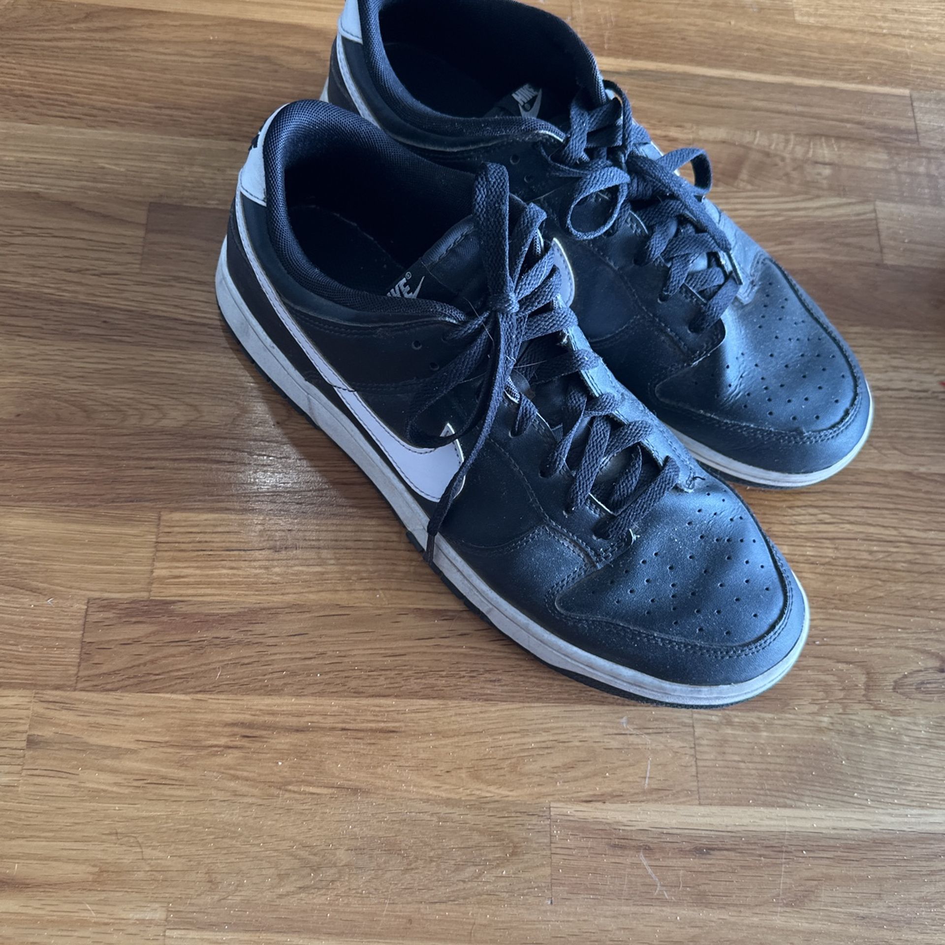 Reverse Panda Dunk Size 11.5