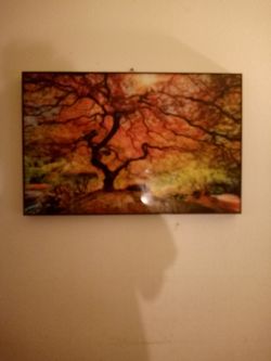 Large  Framed Wall picture For Wall Decor