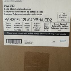 Par30 LED Halco #83205