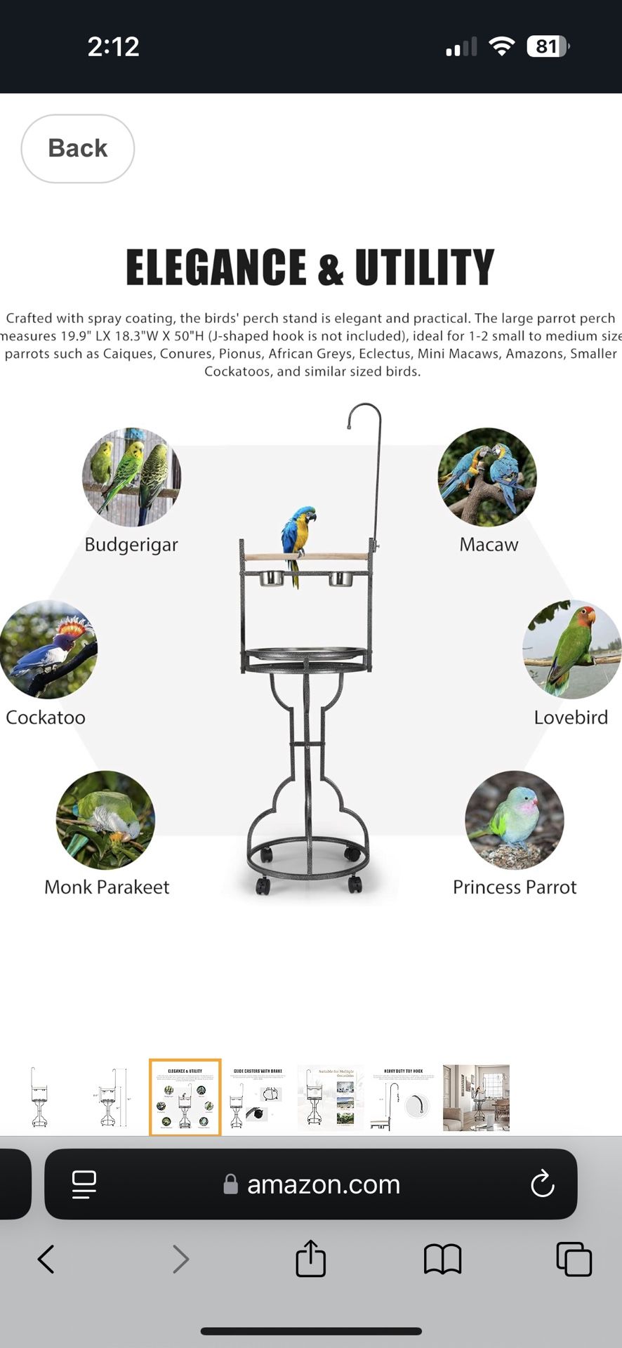 Bird Cage
