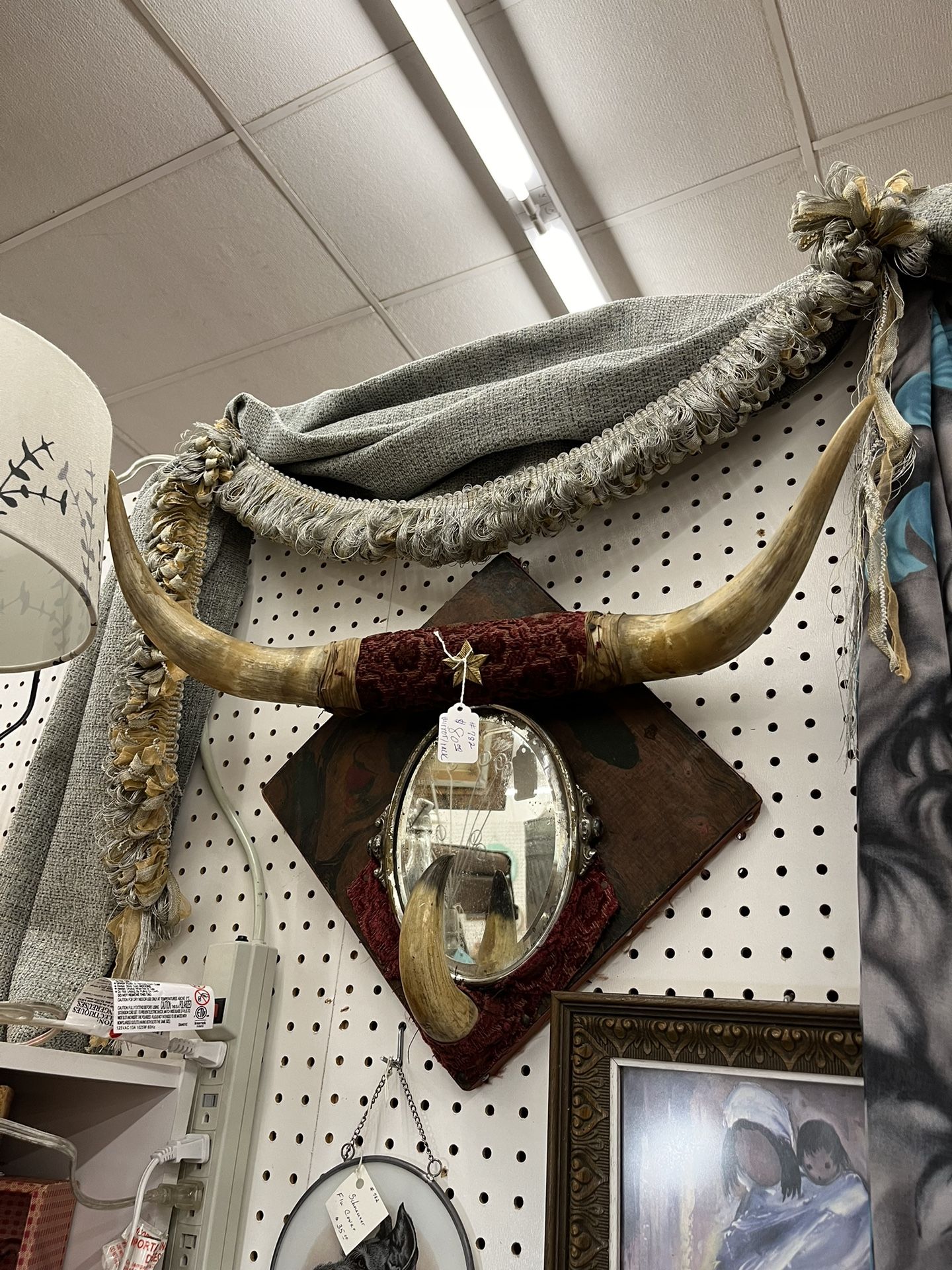 Antique Mirror and Horn Rack