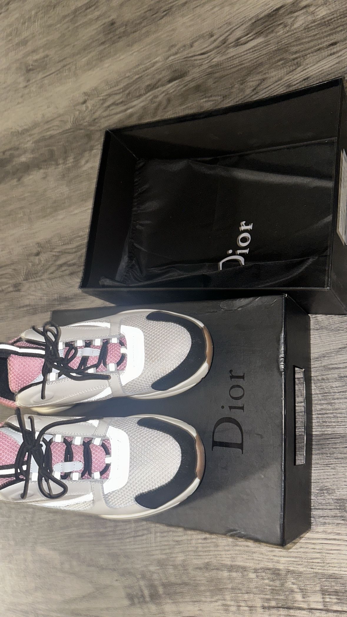 Dior B22 